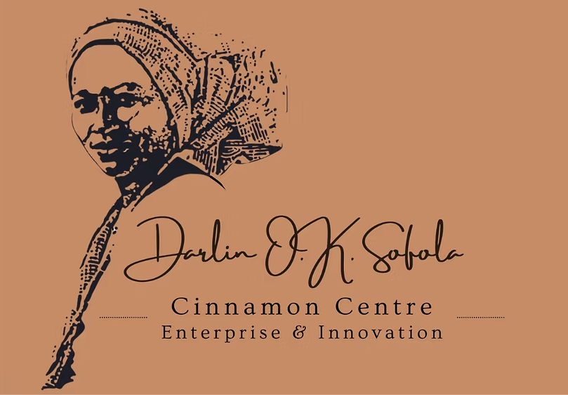 Students learning computer programming at Darlin Sofola Cinnamon Centre